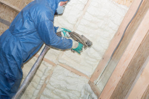 Best Batt and Roll Insulation  in Three Oaks, MI